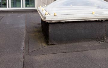 disadvantages of West Bourton flat roofs