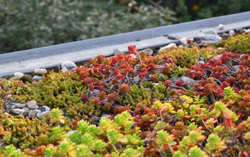 the cost of West Bourton green roof installation