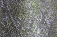 West Bourton fibreglass roof work